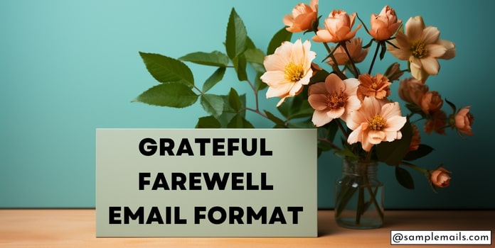 Grateful Farewell Email Format, goodbye email template